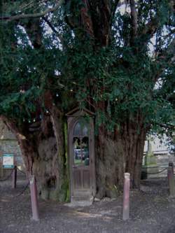 photo La Haye-de-Routot
