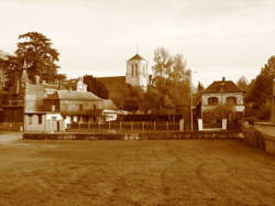 photo Vitraux de la Collégiale Saint-Louis