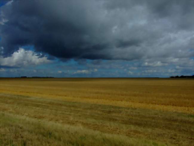 Alentours de Barjouville - Crédits: DavideITA/Panoramio/CC by SA