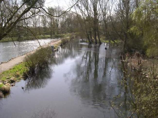 La Conie entre La Chenardière et Nottonville - Nottonville (28140) - Eure-et-Loir