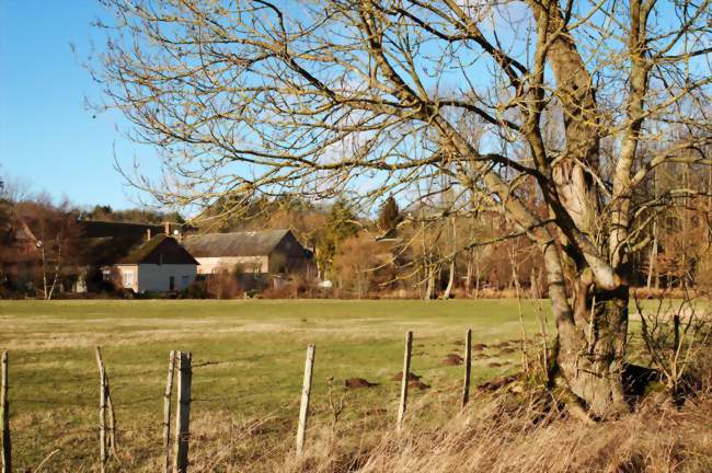 Alentours de Vert-en-Drouais - Crédits: fvexler/Panoramio/CC by SA