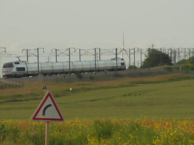 Ouvrier / Ouvrière agricole