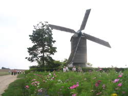 photo Conducteur / Conductrice de silo de céréales