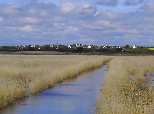 Vue lointaine de Plovan depuis les marais littoraux de la Baie d'Audierne - Plovan (29720) - Finistère