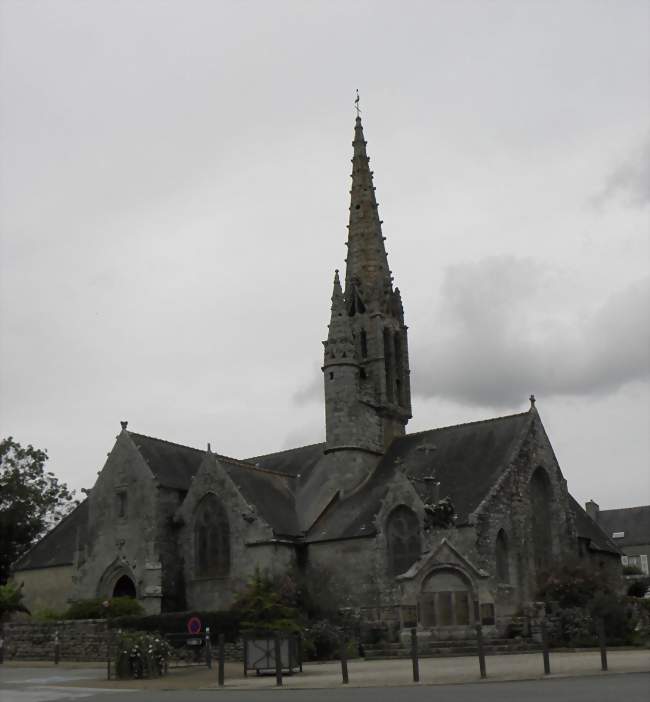Caissier / Caissière