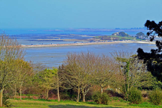 L'îlot Sainte-Anne et la baie de Morlaix vues depuis le parc du Champ de la Rive en mars 2013 - Saint-Pol-de-Léon (29250) - Finistère