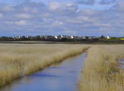 photo Printemps de la biodiversité - Sortie nature : un autre regard porté sur la plage