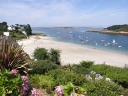 Conférence « Sciences participatives et laisse de mer »