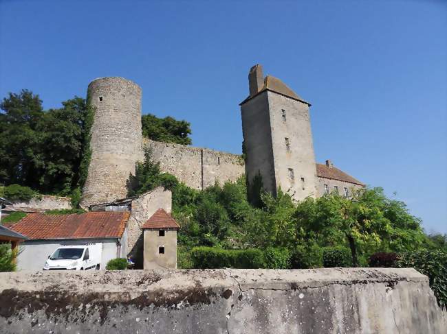 Château de Chavroches - Chavroches (03220) - Allier