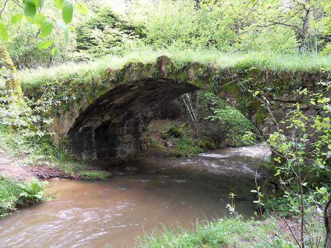 Rallye découverte