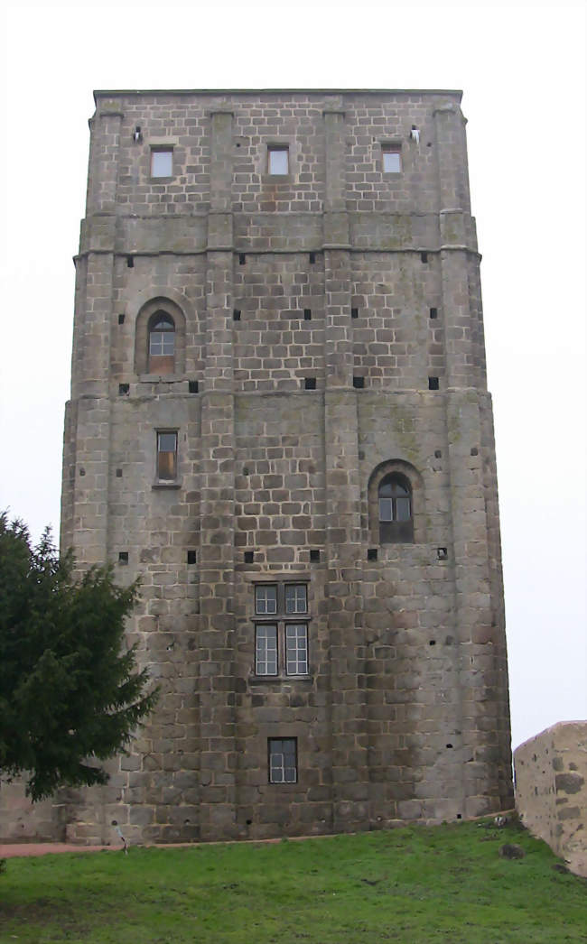 Donjon roman d'Huriel (la Toque) - Huriel (03380) - Allier