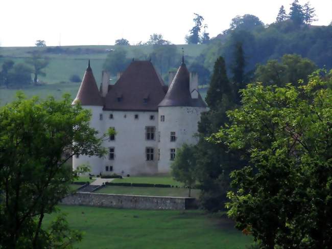 Château de Verseilles sur la communede Saint-Étienne-de-Vicq - Saint-Étienne-de-Vicq (03300) - Allier