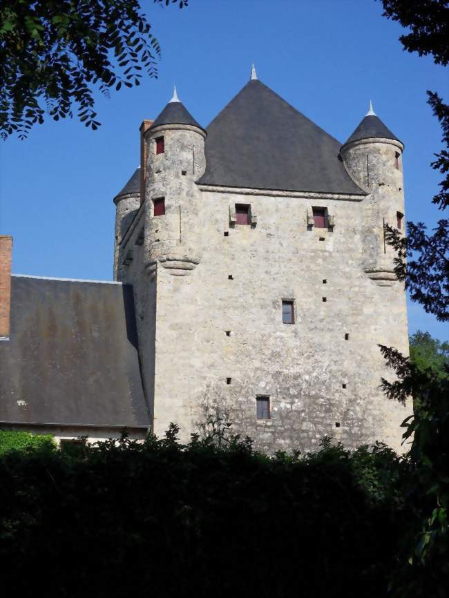 Château du Vieux Chambord à Treteau - Treteau (03220) - Allier