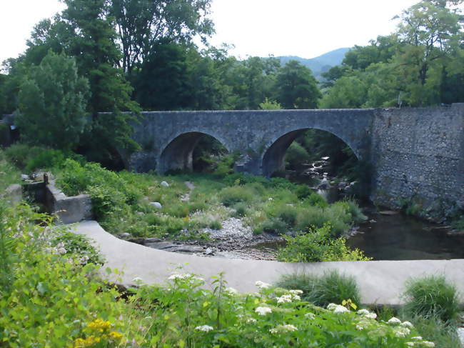 Le Coudoulous à Avèze, vieux pont et bief-barrage - Avèze (30120) - Gard