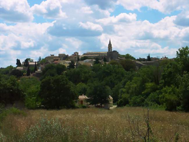 Vue générale - Blauzac (30700) - Gard