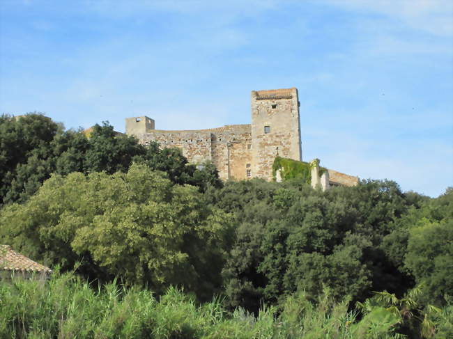 Le château - La Capelle-et-Masmolène (30700) - Gard