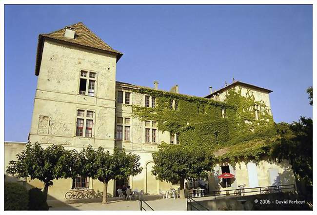 Le château vu du jardin d'hiver - Caveirac (30820) - Gard