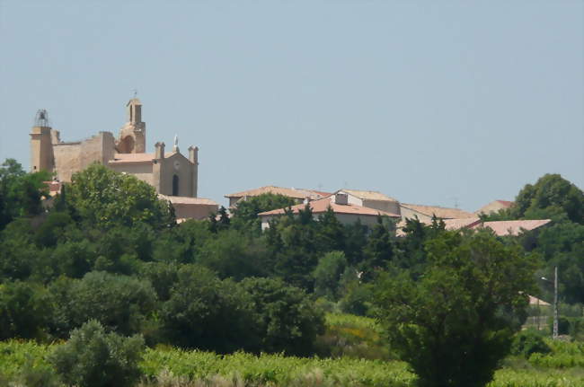 Vue générale - Estézargues (30390) - Gard