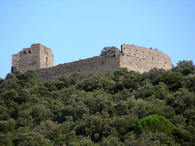 Le château de Tornac - Tornac (30140) - Gard