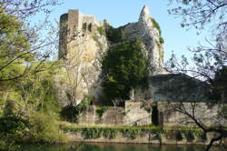 photo Ciné vignes au Château de Boucarut