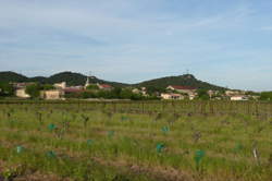 photo J'peux pas j'ai oeno - enquête dans les vignes au Domaine Clavel à St Gervais