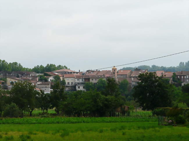 Vue générale de Carbonne