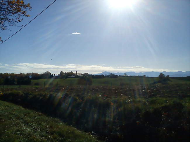 Vue générale sur fond des Pyrénées - Lahitère (31310) - Haute-Garonne