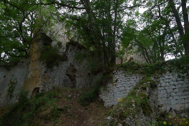 Ruines du château médiéval - Lespugue (31350) - Haute-Garonne