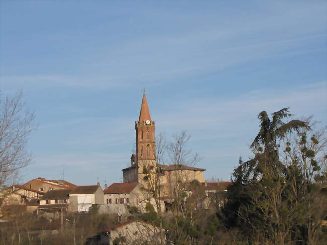 Vue générale - Noé (31410) - Haute-Garonne