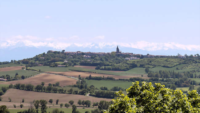 Saint-Félix-Lauragais - Saint-Félix-Lauragais (31540) - Haute-Garonne