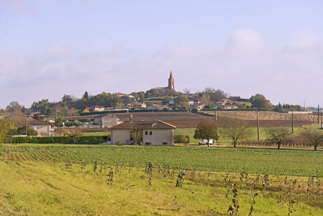 Vacquiers - Vacquiers (31340) - Haute-Garonne
