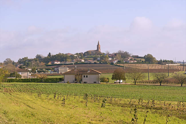 Aide agricole en viticulture