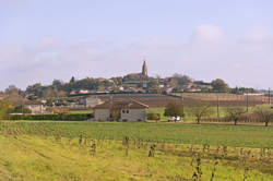 photo BIENVENUE CHAI LES VIGNERONS