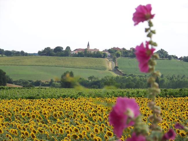 Le village de Lagraulet-du-gers vu de Hourès - Lagraulet-du-Gers (32330) - Gers