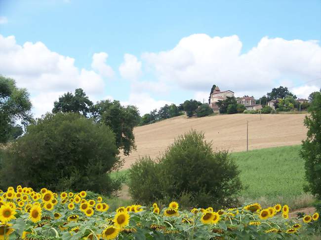 Le village de Mérens vue de la route de Roquelaure - Mérens (32360) - Gers