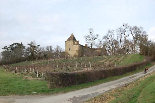 Château de Reveillon, à Mirepoix - Mirepoix (32390) - Gers