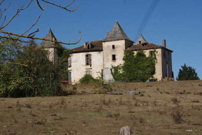 Le château - Monbardon (32420) - Gers