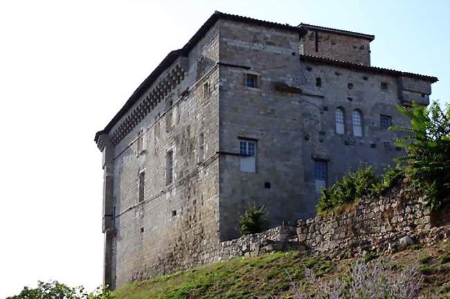 Le château, propriété de l'écrivain Renaud Camus - Plieux (32340) - Gers