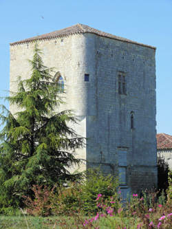 photo Conducteur / Conductrice de silo de céréales