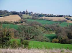 Palefrenier / Palefrenière