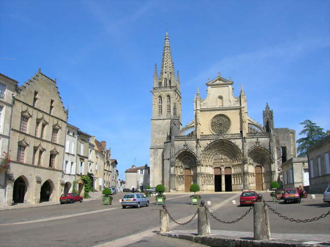 Place de la Cathédrale - Bazas (33430) - Gironde