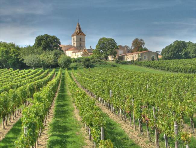 Vignobles et église de Cars - Cars (33390) - Gironde