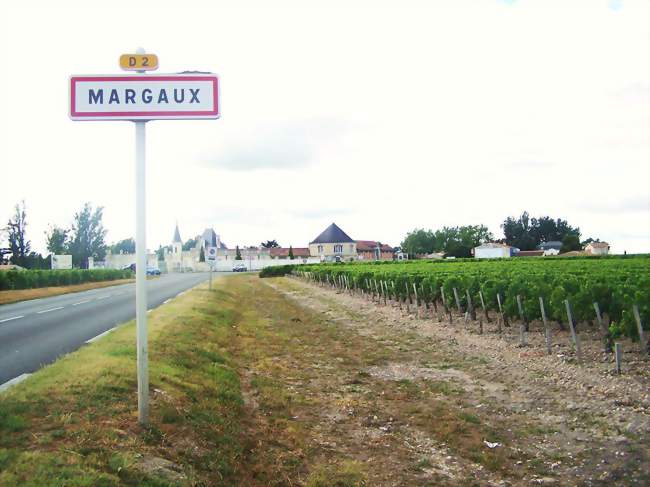 L'entrée de la ville, entourée de vignes - Margaux (33460) - Gironde