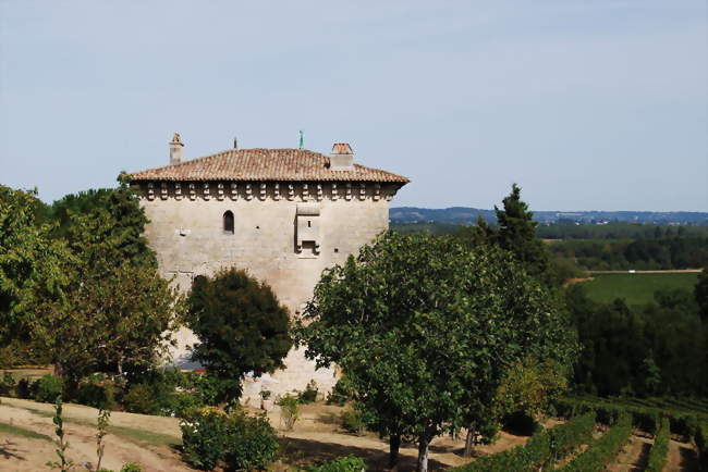 Tour de l'Ansouhaite - Moulon (33420) - Gironde