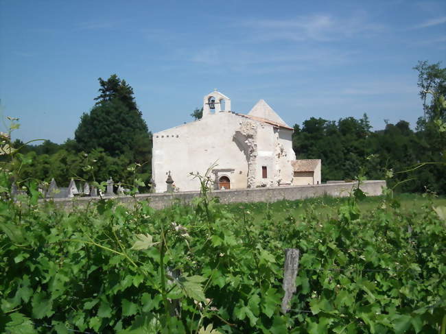 L'ancienne abbaye des Prémontrés, au milieu des vignes - Pleine-Selve (33820) - Gironde
