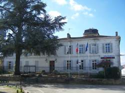 photo Atelier vendanges au Château Simon