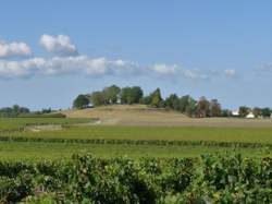 photo A la belle étoile des vendanges du 7ème art : Camping