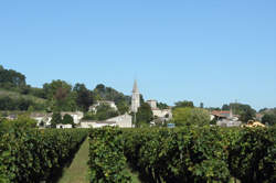 photo Vendanges gourmandes à Saint Michel de Fronsac