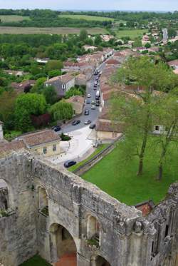 photo Au pied de l'arbre