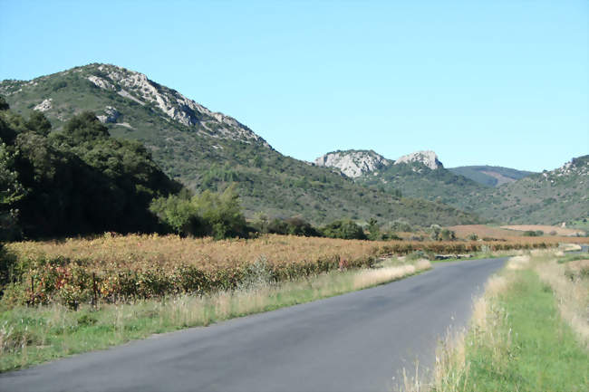 Site du château de Cabrières (mentionné par Grégoire de Tours) - Cabrières (34800) - Hérault